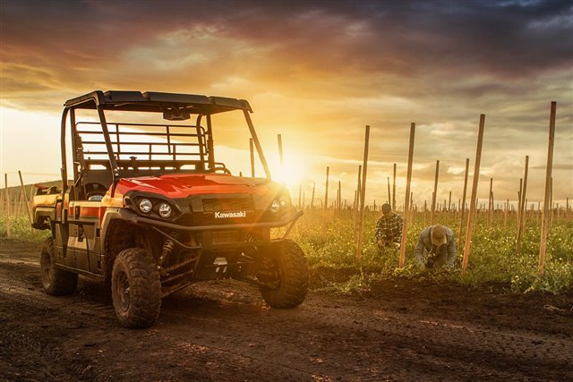 2024 Kawasaki Mule PRO-FX 1000 HD HD Edition at McKinney Outdoor Superstore