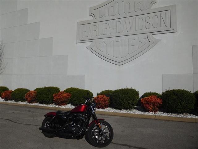 2019 Harley-Davidson Sportster Iron 883 at Bumpus H-D of Murfreesboro