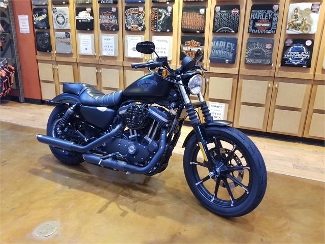 2017 Harley-Davidson Sportster Iron 883 at Legacy Harley-Davidson