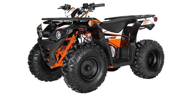 2025 Kayo Bull 125 at Wise Honda