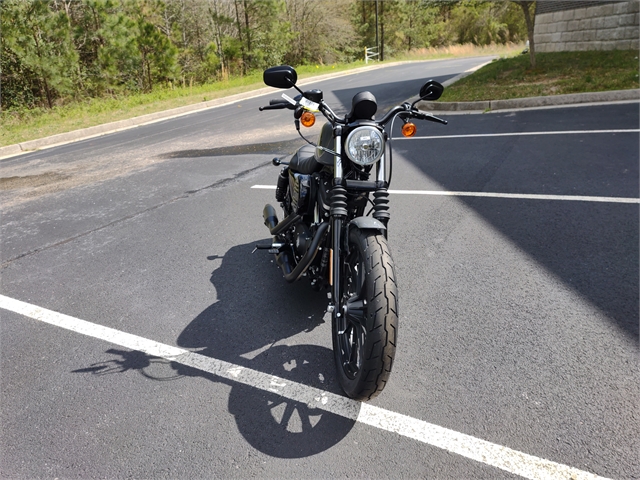 2022 Harley-Davidson Sportster Iron 883 at Steel Horse Harley-Davidson®