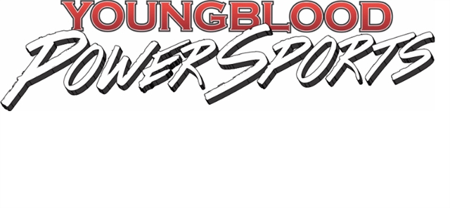 2022 Kawasaki Teryx S LE at Youngblood RV & Powersports Springfield Missouri - Ozark MO
