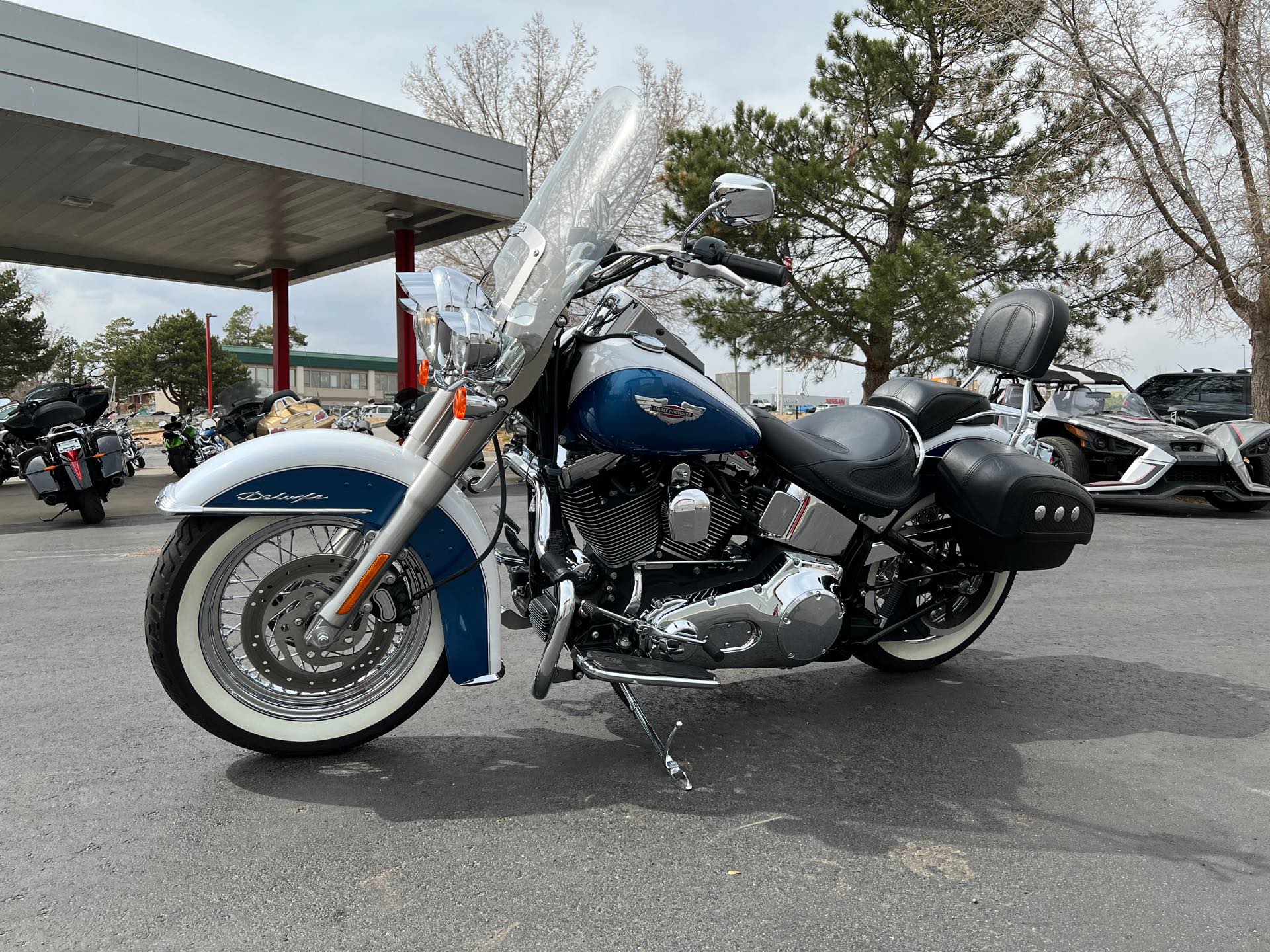 2005 Harley-Davidson Softail Deluxe at Aces Motorcycles - Fort Collins