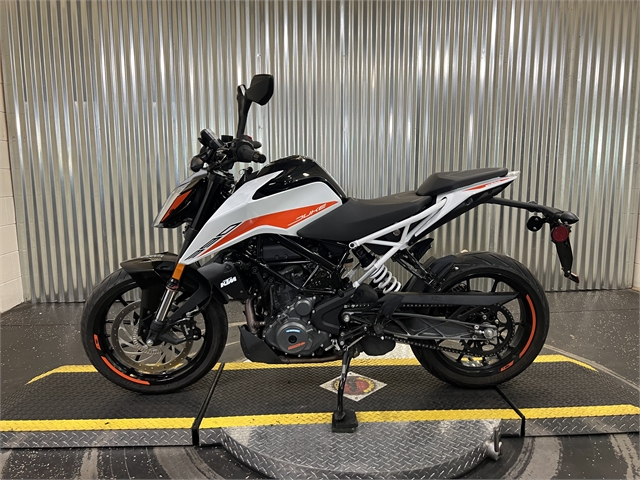 2022 KTM 390 Duke at Teddy Morse Grand Junction Powersports