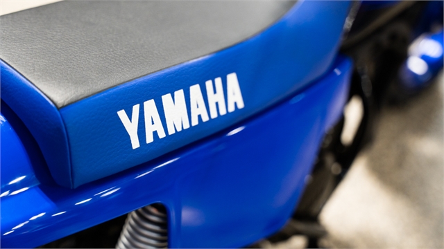 2023 Yamaha PW 50 at Motoprimo Motorsports