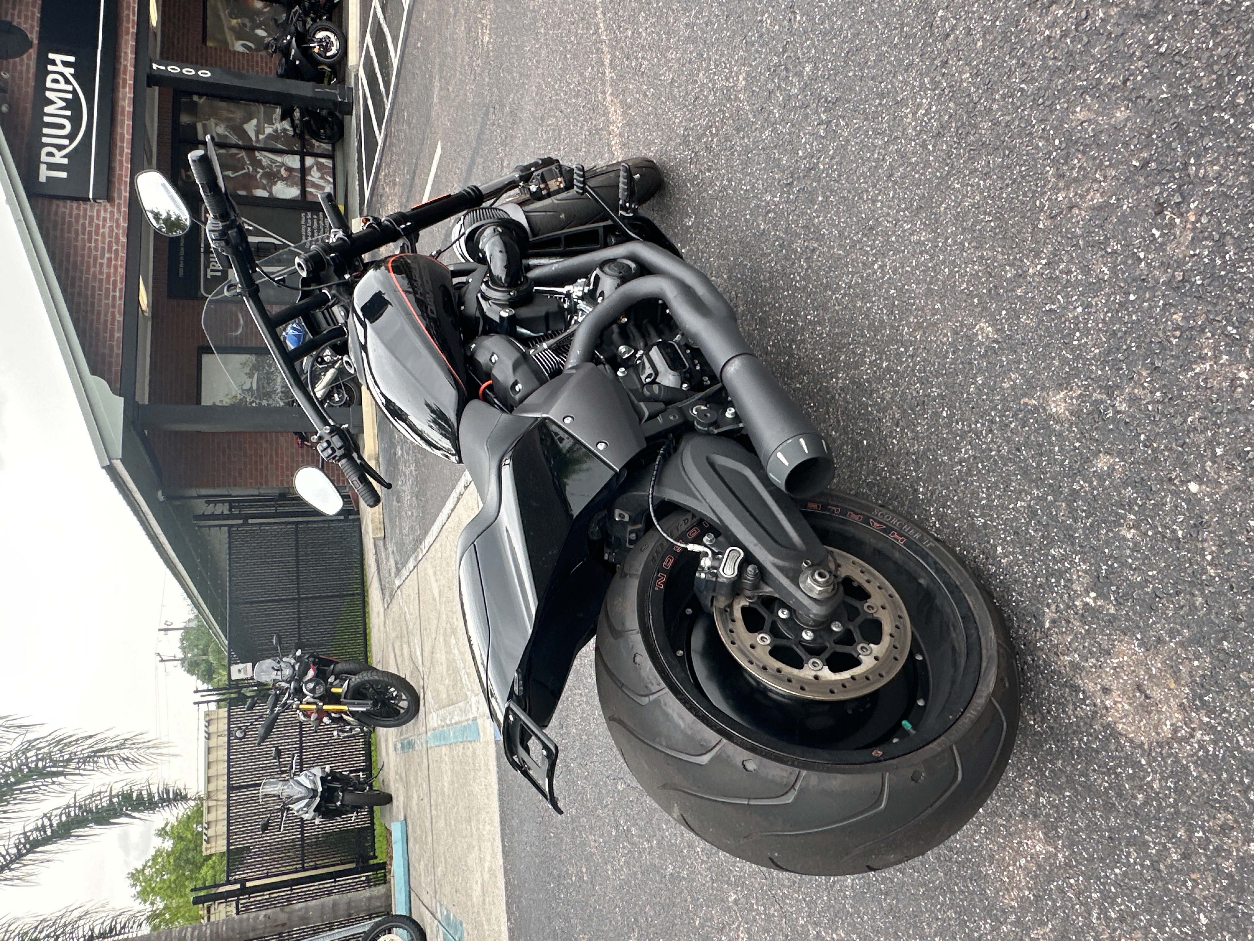 2019 Harley-Davidson Softail FXDR 114 at Tampa Triumph, Tampa, FL 33614