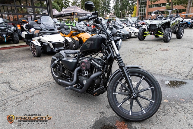 2017 Harley-Davidson Sportster Iron 883 at Paulson's Motorsports