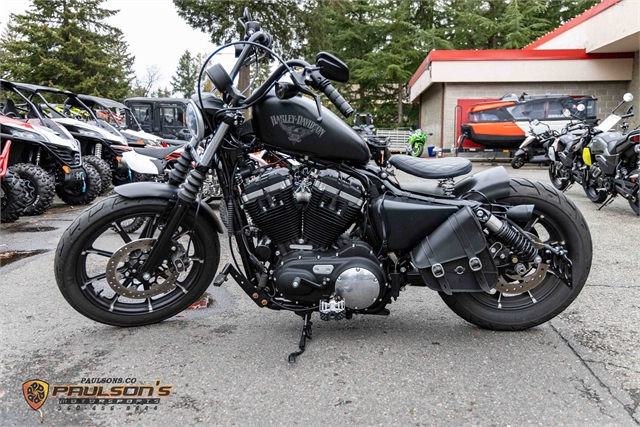 2017 Harley-Davidson Sportster Iron 883 at Paulson's Motorsports