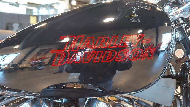 2024 Harley-Davidson Softail Standard at Keystone Harley-Davidson