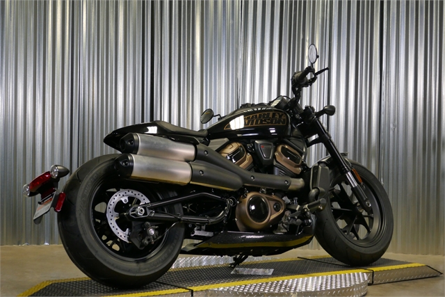 2024 Harley-Davidson Sportster at Elk River Harley-Davidson