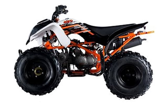 2020 Kayo STORM 150 | Extreme Powersports Inc