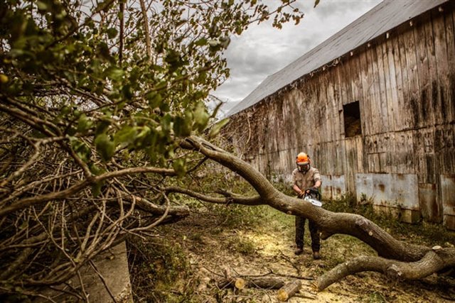 2024 STIHL MS362/20 at McKinney Outdoor Superstore