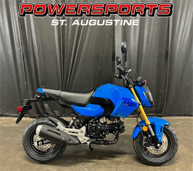 2025 Honda Grom Base at Powersports St. Augustine