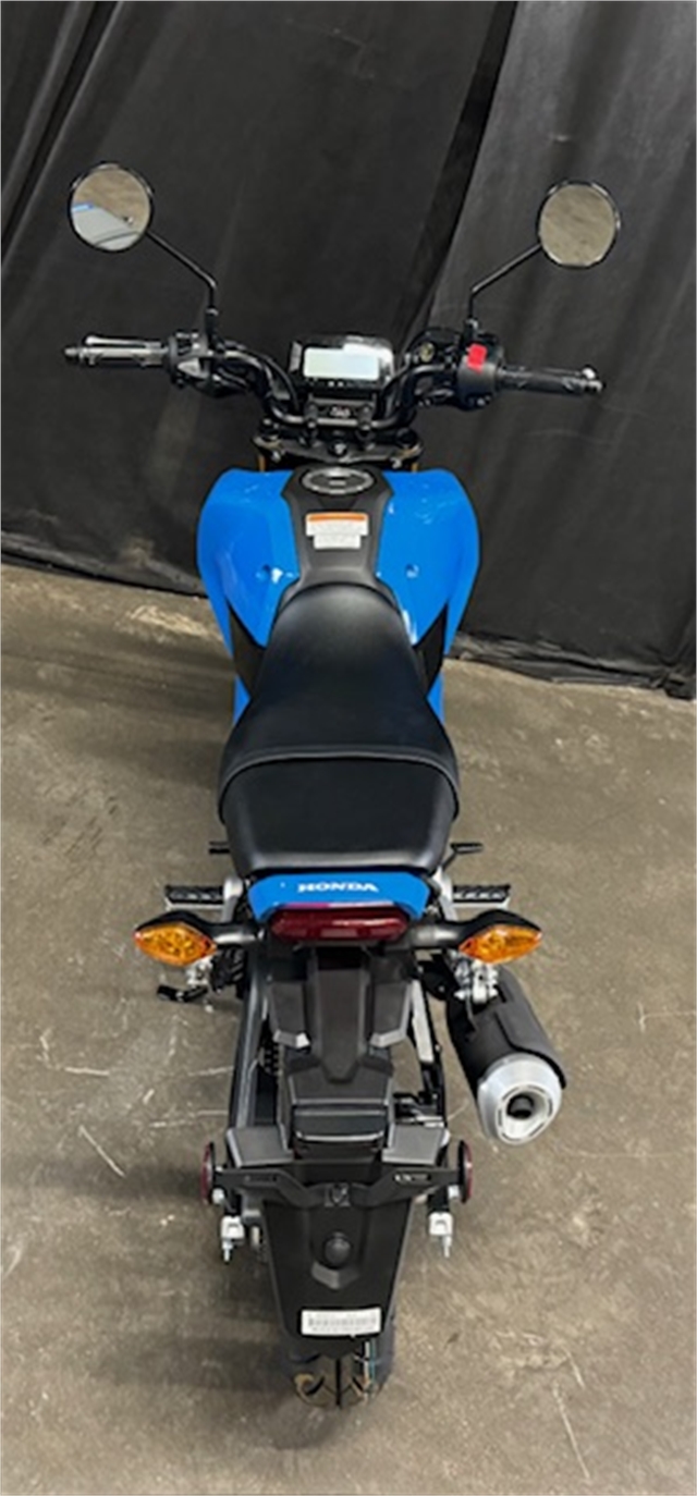 2025 Honda Grom Base at Powersports St. Augustine