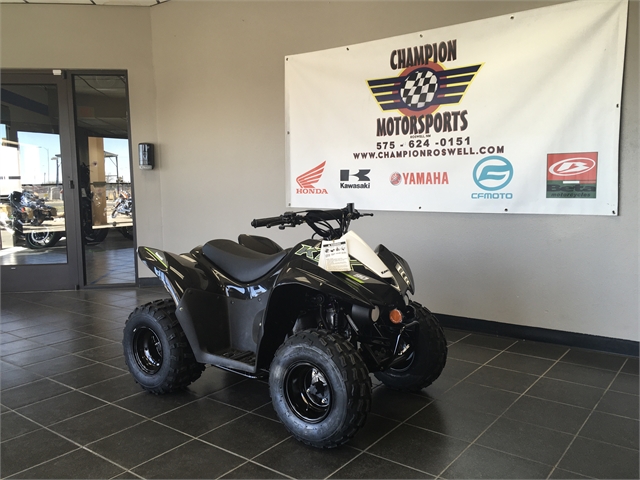 2022 Kawasaki KFX 90 at Champion Motorsports