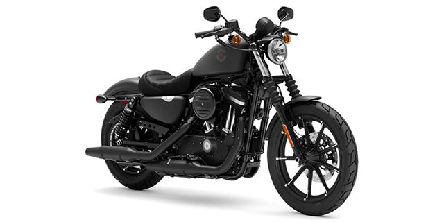 2022 Harley-Davidson Sportster Iron 883 at Hellbender Harley-Davidson