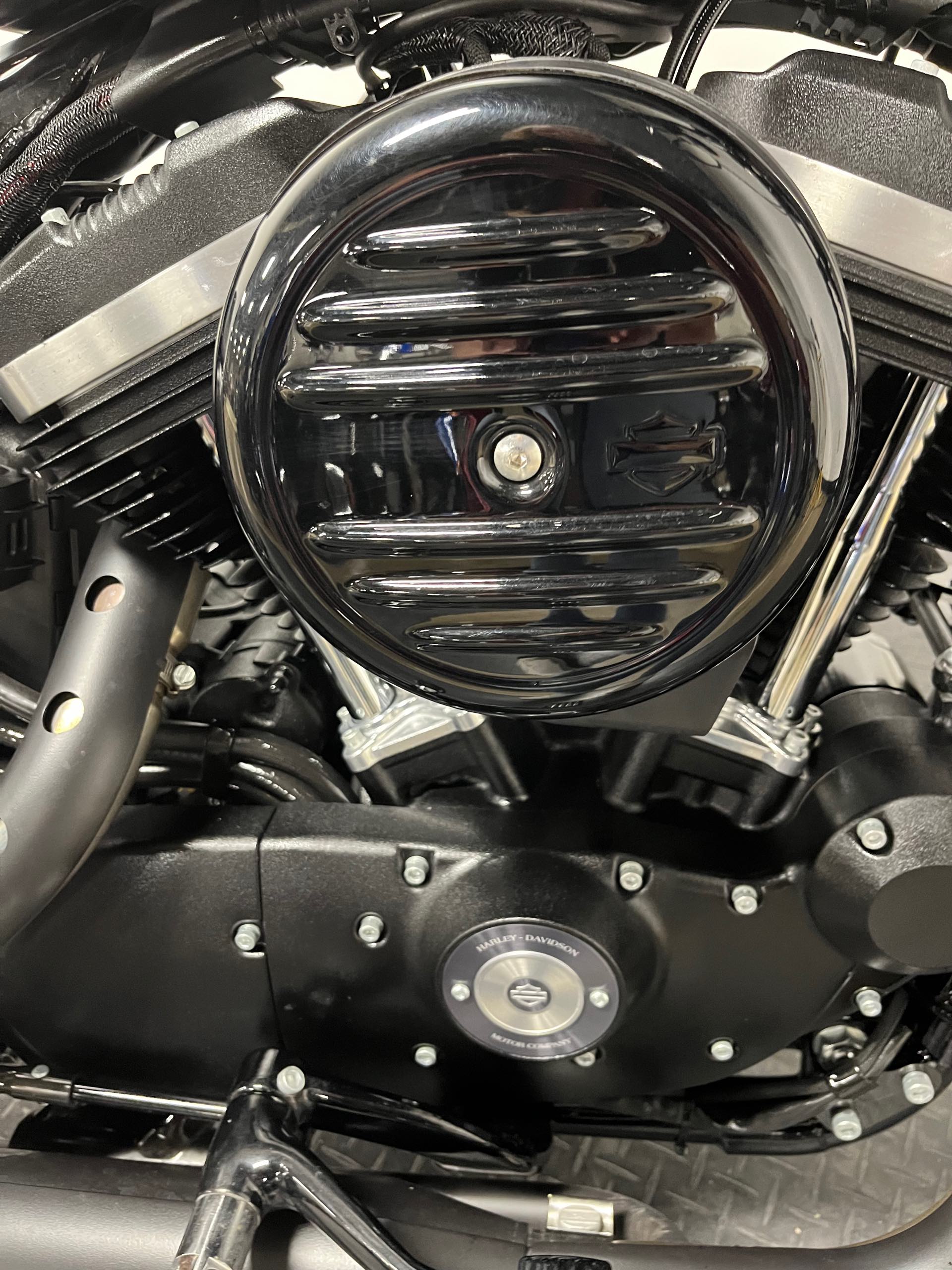 2019 Harley-Davidson Sportster Iron 883 at Cannonball Harley-Davidson