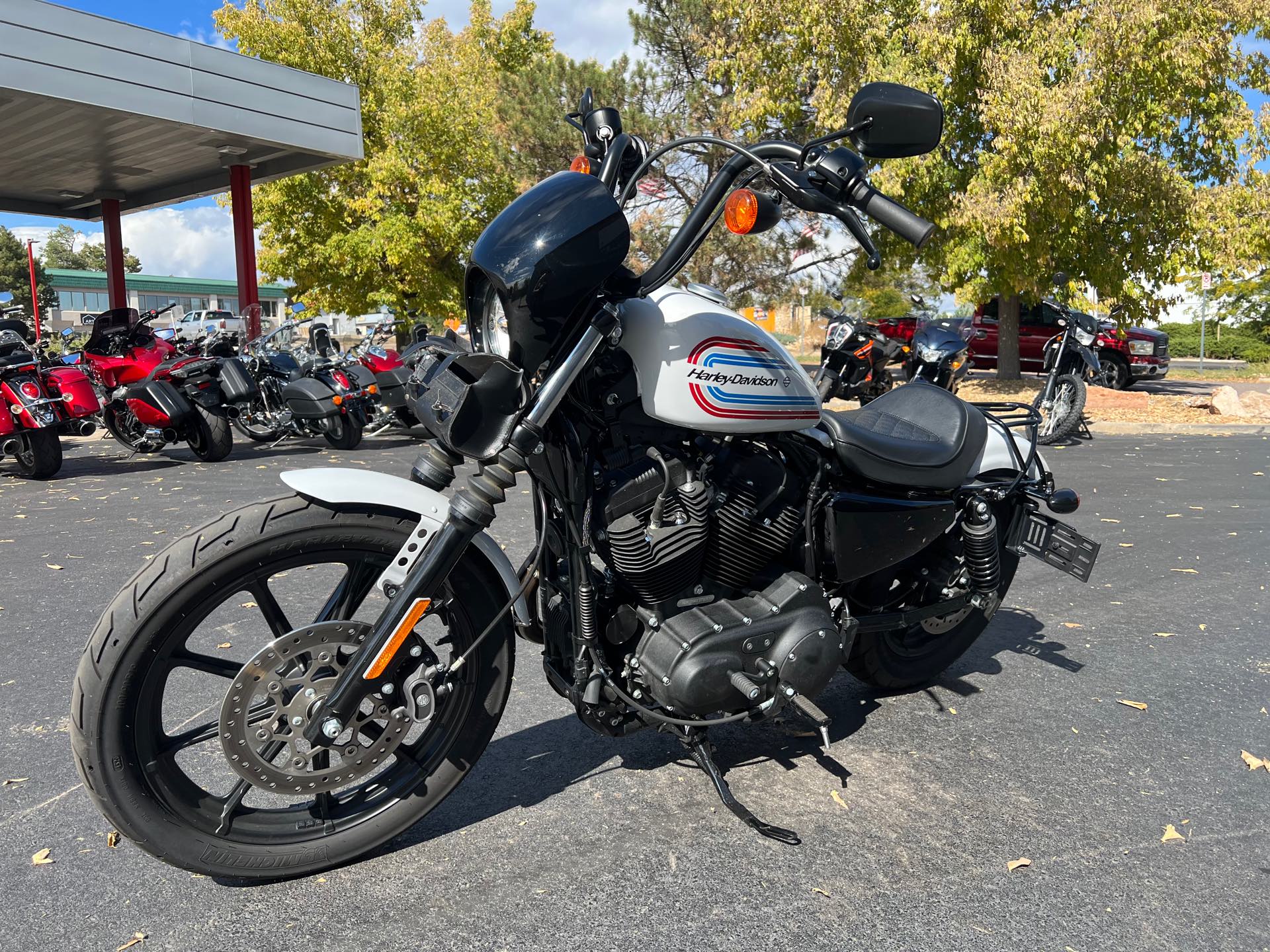 2021 Harley-Davidson Iron 1200' at Aces Motorcycles - Fort Collins