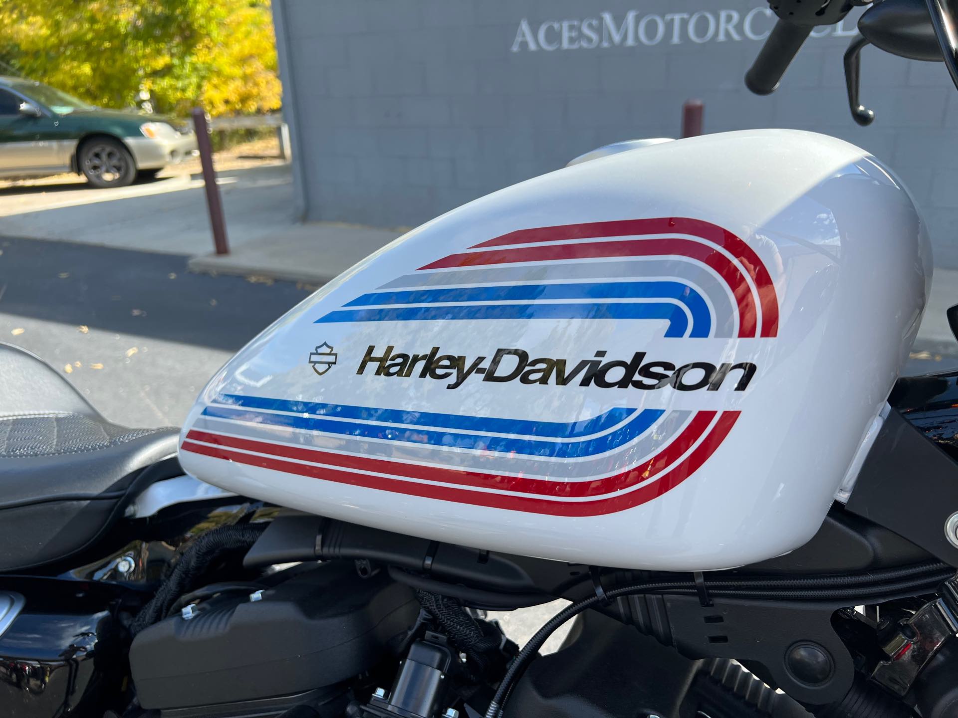 2021 Harley-Davidson Iron 1200' at Aces Motorcycles - Fort Collins