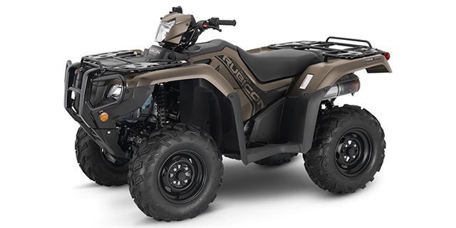 2022 Honda FourTrax Foreman Rubicon 4x4 Automatic DCT at Clawson Motorsports