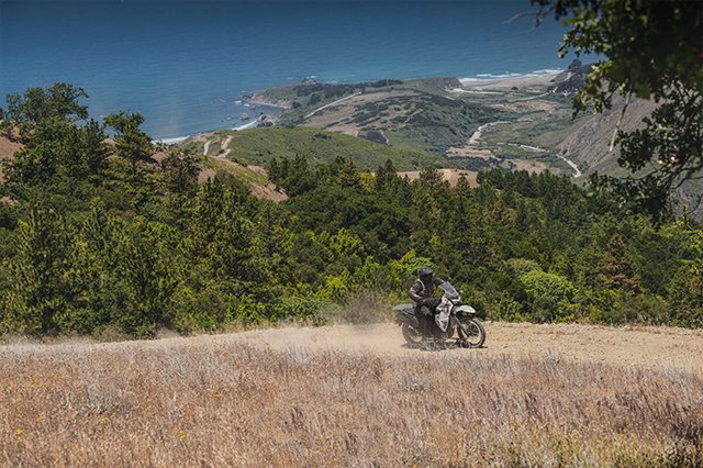 2024 Kawasaki KLR 650 ABS at Paulson's Motorsports