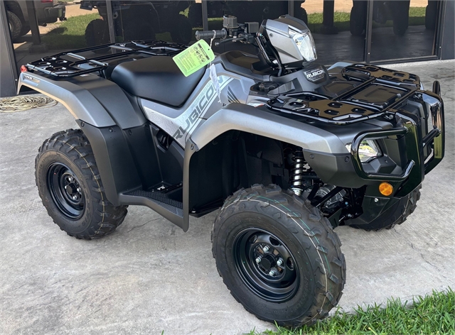 2025 Honda FourTrax Foreman Rubicon 4x4 EPS at Dale's Fun Center, Victoria, TX 77904