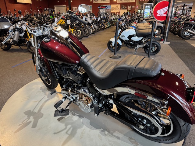 2019 Harley-Davidson Softail Low Rider at Martin Moto