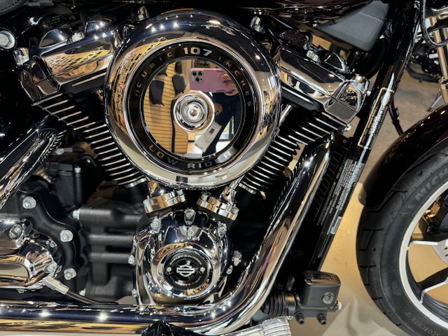 2019 Harley-Davidson Softail Low Rider at Martin Moto