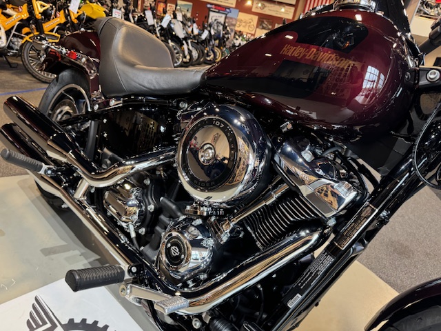 2019 Harley-Davidson Softail Low Rider at Martin Moto