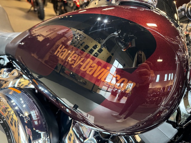 2019 Harley-Davidson Softail Low Rider at Martin Moto