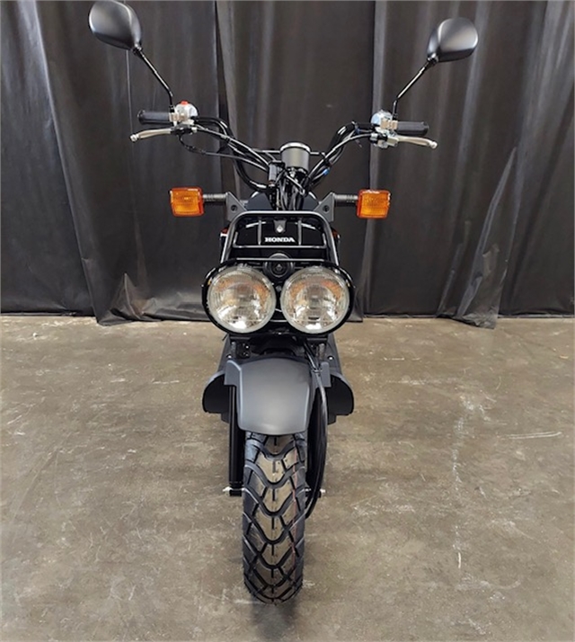 2024 Honda Ruckus Base at Powersports St. Augustine