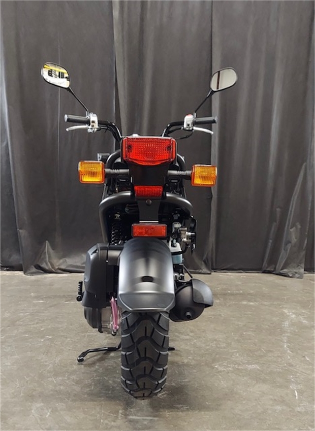 2024 Honda Ruckus Base at Powersports St. Augustine