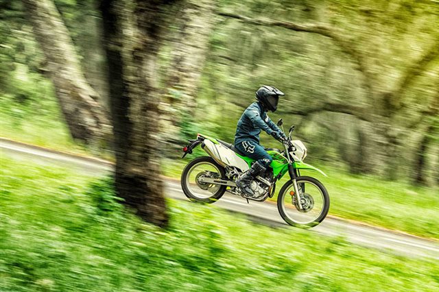 2020 Kawasaki KLX 230 at Lucky Penny Cycles