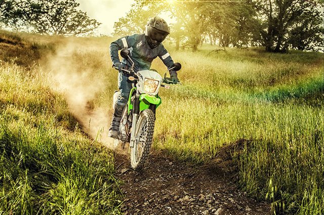 2020 Kawasaki KLX 230 at Lucky Penny Cycles