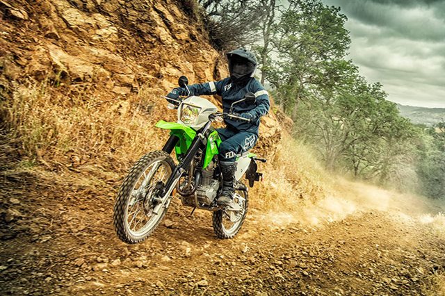 2020 Kawasaki KLX 230 at Lucky Penny Cycles