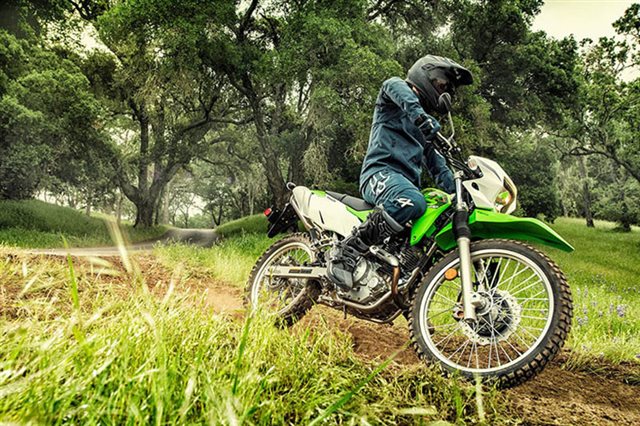 2020 Kawasaki KLX 230 at Lucky Penny Cycles