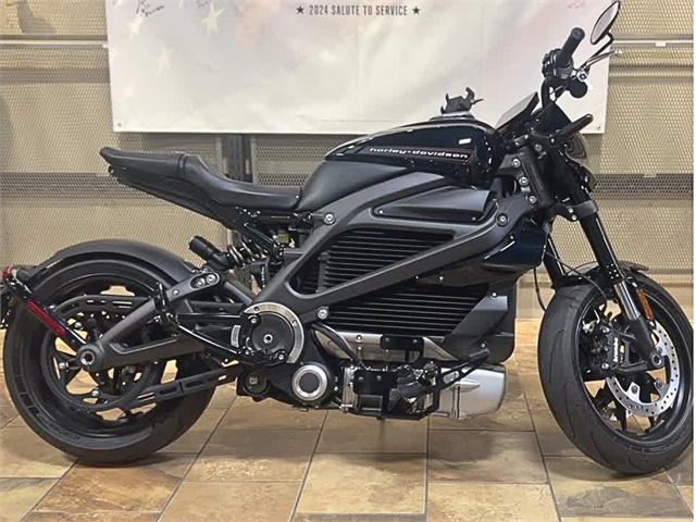 2020 Harley-Davidson Electric LiveWire at Man O'War Harley-Davidson®