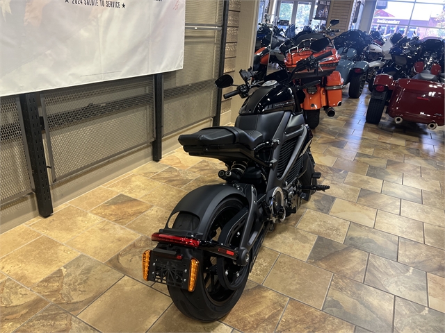 2020 Harley-Davidson Electric LiveWire at Man O'War Harley-Davidson®