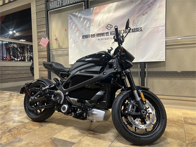 2020 Harley-Davidson Electric LiveWire at Man O'War Harley-Davidson®