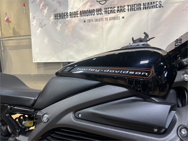 2020 Harley-Davidson Electric LiveWire at Man O'War Harley-Davidson®