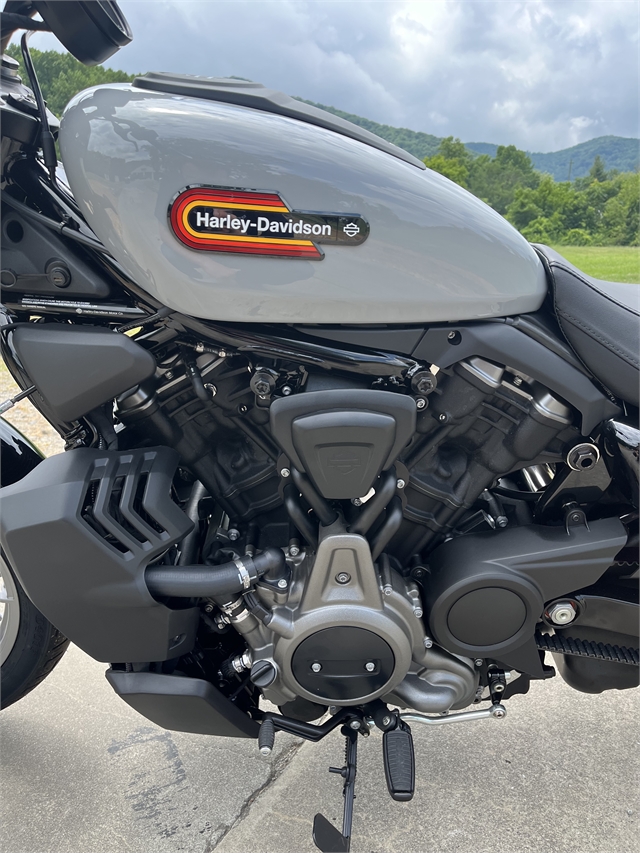 2024 Harley-Davidson Sportster Nightster Special at Harley-Davidson of Asheville