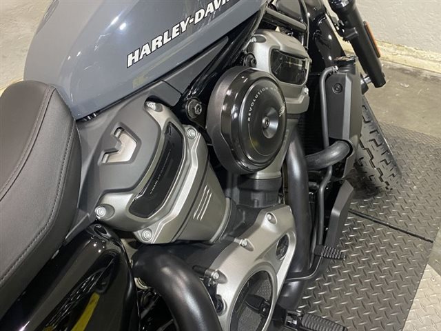 2022 Harley-Davidson Sportster Nightster at East Bay Harley-Davidson