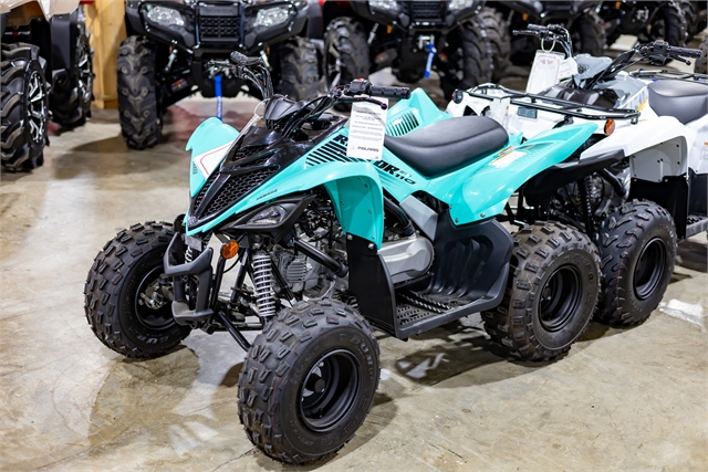 2024 Yamaha Raptor 110 at Friendly Powersports Slidell