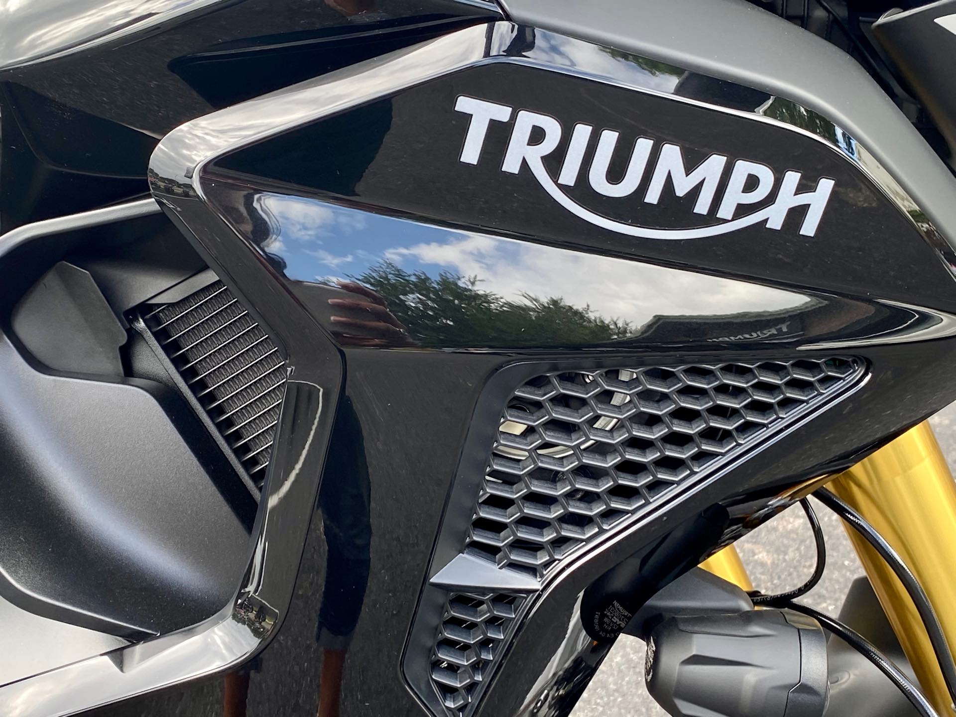 2023 Triumph Tiger 1200 Rally Pro at Tampa Triumph, Tampa, FL 33614