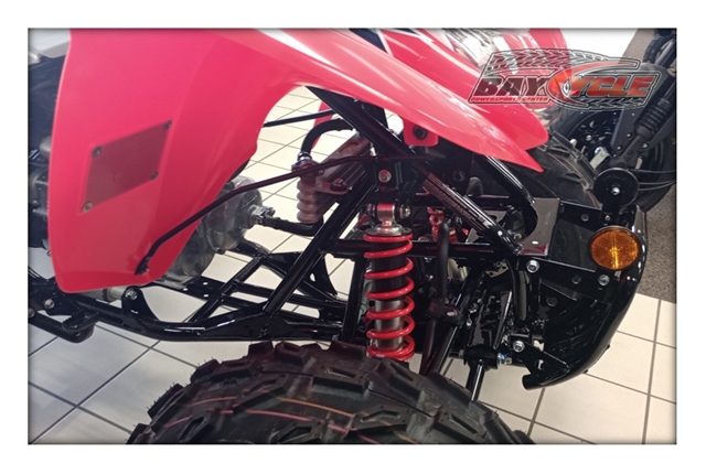 2024 Honda TRX 250X at Bay Cycle Sales
