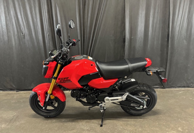 2025 Honda Grom Base at Powersports St. Augustine