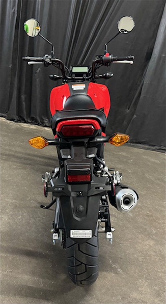 2025 Honda Grom Base at Powersports St. Augustine