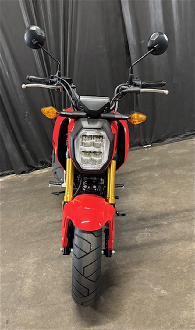 2025 Honda Grom Base at Powersports St. Augustine