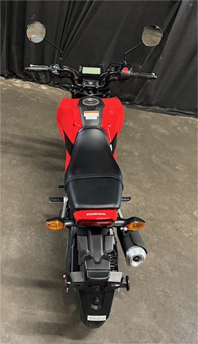 2025 Honda Grom Base at Powersports St. Augustine