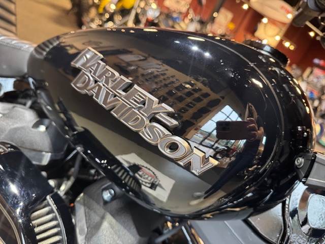 2020 Harley-Davidson Softail Street Bob at Martin Moto